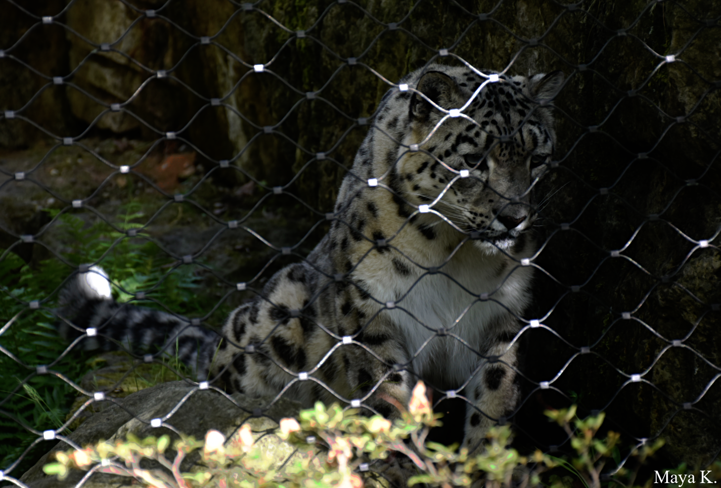 Hinter Gittern